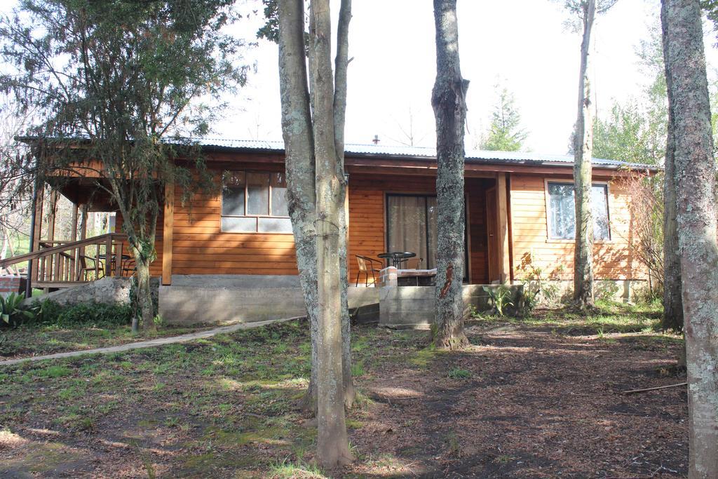 Apart Hotel Puchaley Lafquen Panguipulli Bagian luar foto